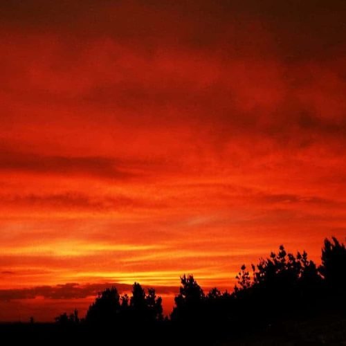 Efficitur senectus quis quis