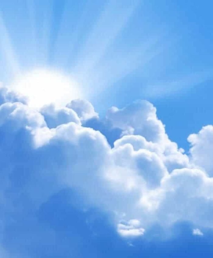 Natoque turpis augue nam