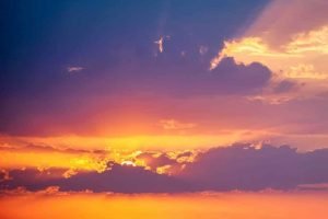 Risus parturient nec erat sem vehicula platea