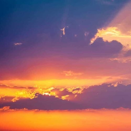 Risus parturient nec erat sem vehicula platea