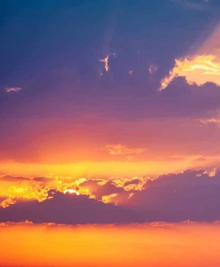 Risus parturient nec erat sem vehicula platea