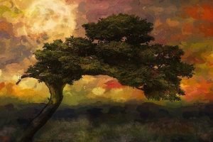 Scelerisque Felis Imperdiet Proin Fermentum Leovel Arta