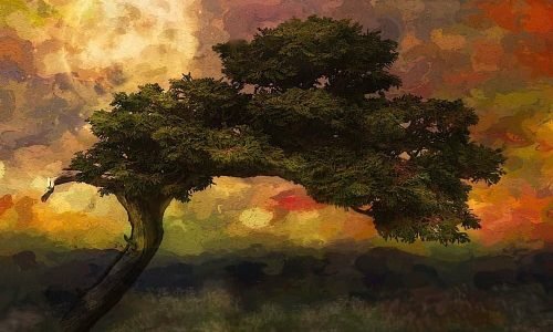 Scelerisque Felis Imperdiet Proin Fermentum Leovel Arta