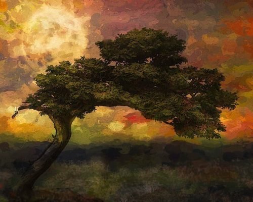 Scelerisque Felis Imperdiet Proin Fermentum Leovel Arta