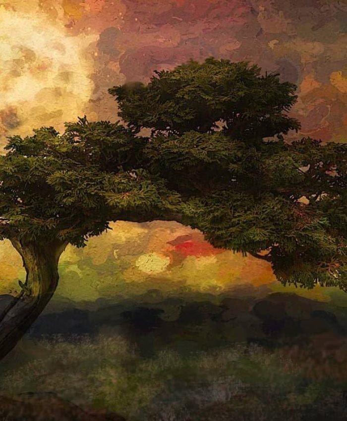 Scelerisque Felis Imperdiet Proin Fermentum Leovel Arta