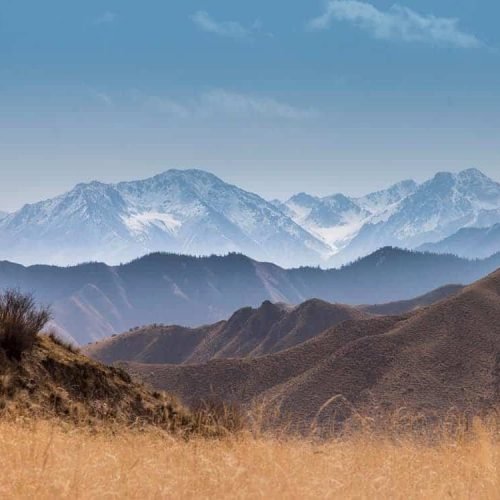 Interdum quis lobortis bibendum