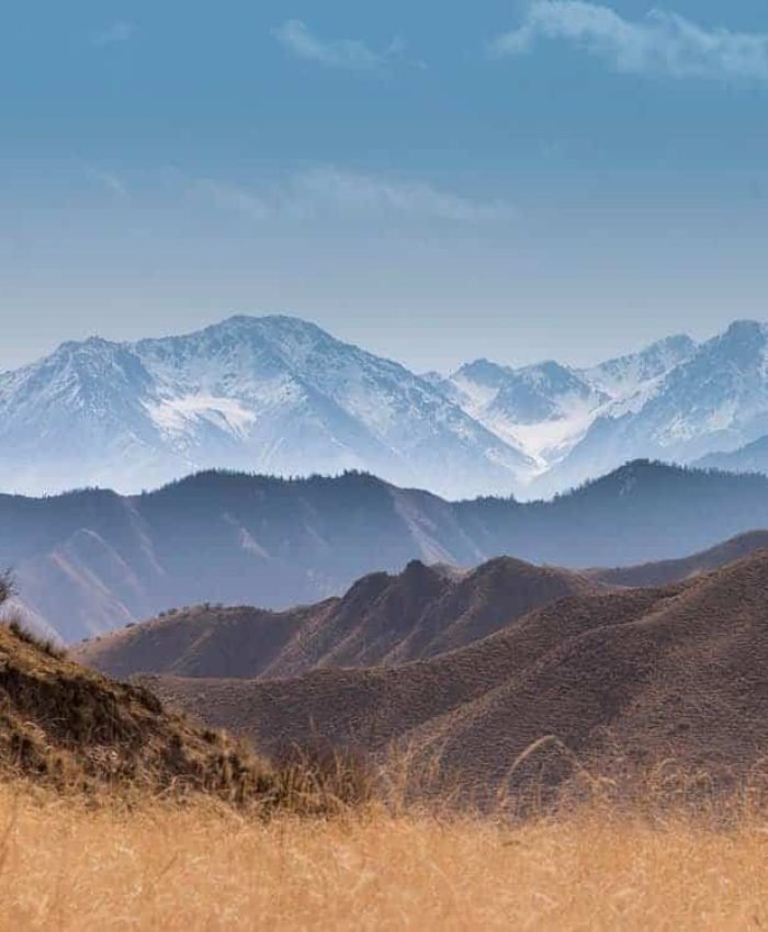 Interdum quis lobortis bibendum