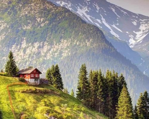 Elementum convallis nostra