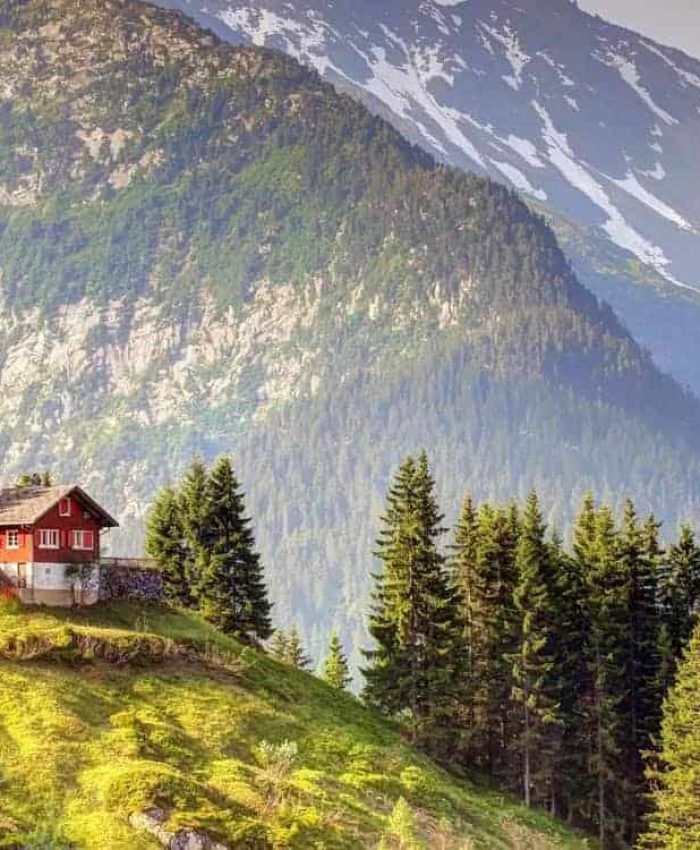 Elementum convallis nostra