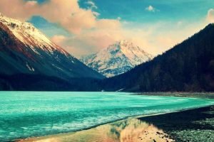 Pretium sapien est nunc rutrum