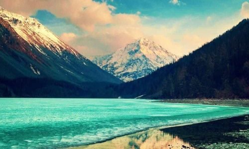 Pretium sapien est nunc rutrum