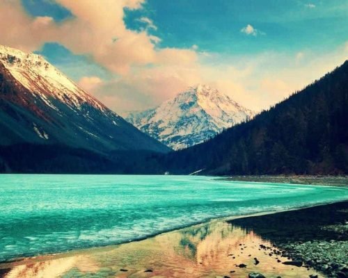 Pretium sapien est nunc rutrum