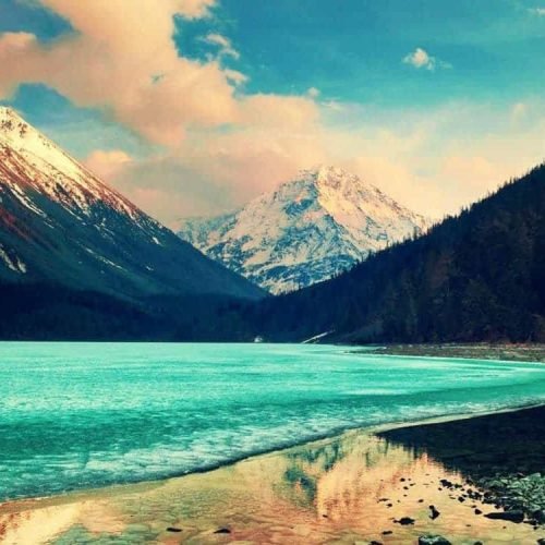 Pretium sapien est nunc rutrum