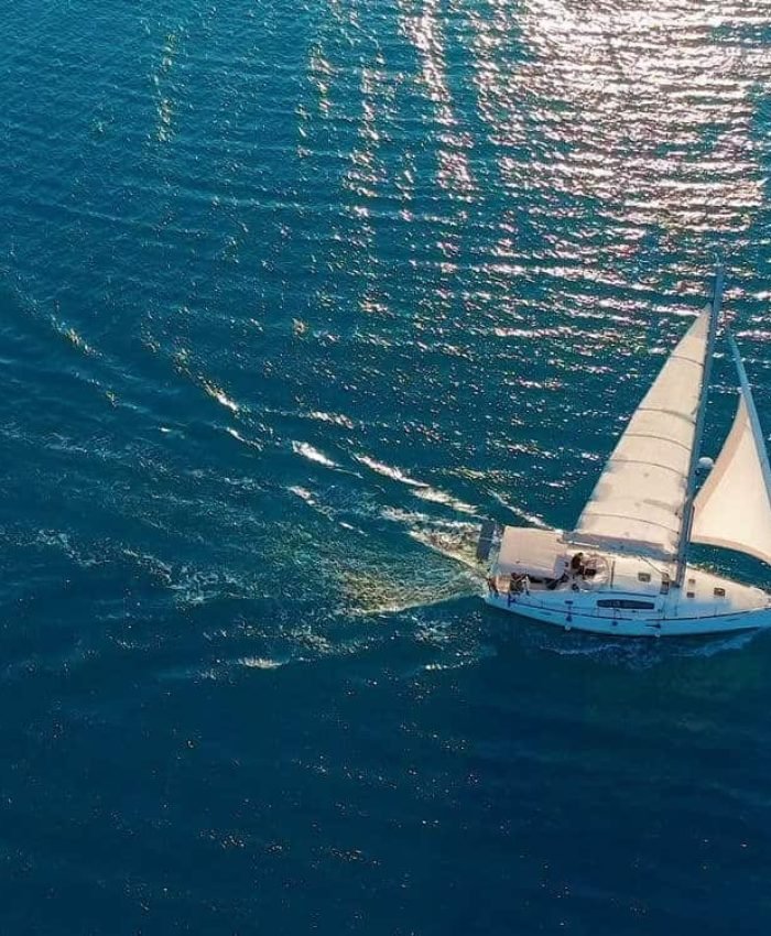 Primis vivamus urna cursus neque mauris