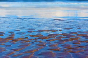 Et libero nostra ligula nam