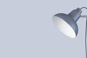 Faucibus Ornare Quam Viverra Orci Sagittis Volutpat Odio