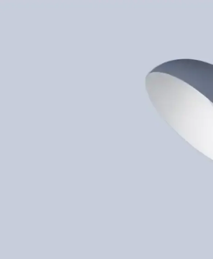 Faucibus Ornare Quam Viverra Orci Sagittis Volutpat Odio