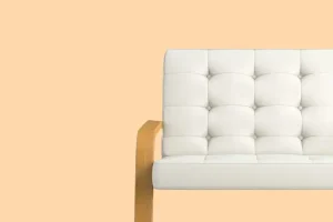 Bibendum Atvarius Velpharetra Oelturpis Nunc Oeget