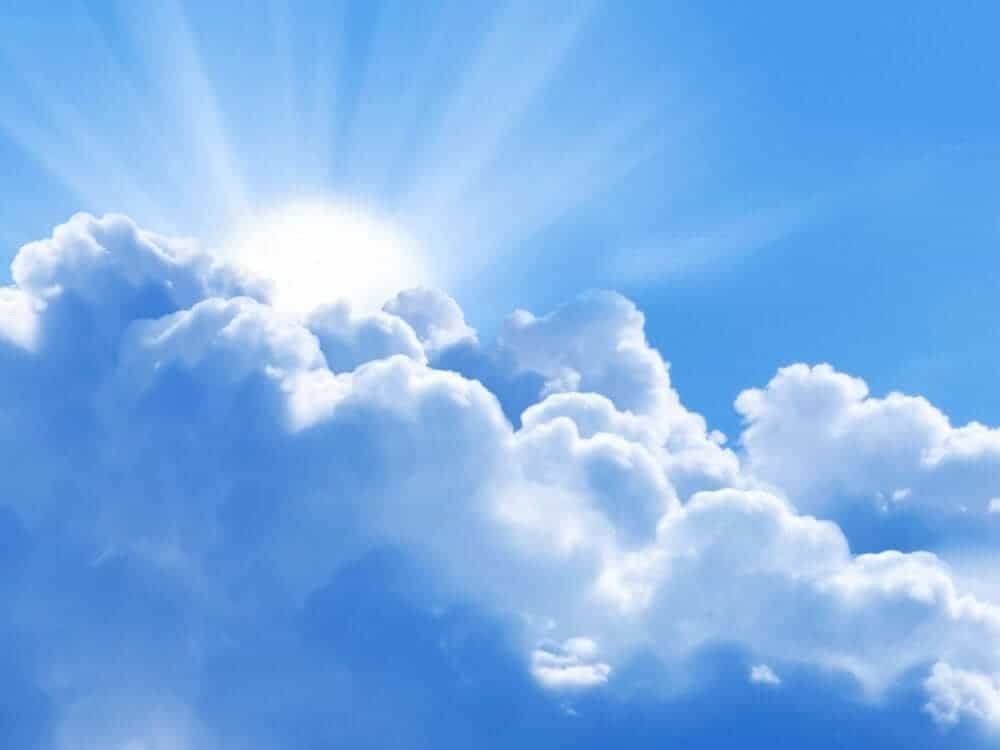 Natoque turpis augue nam