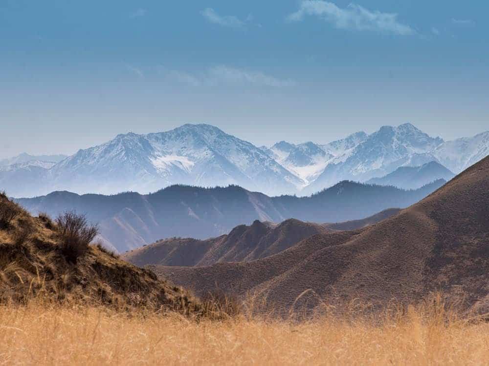 Interdum quis lobortis bibendum