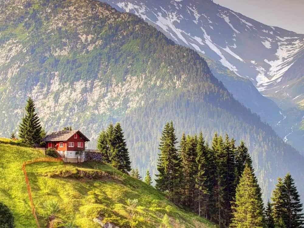 Elementum convallis nostra