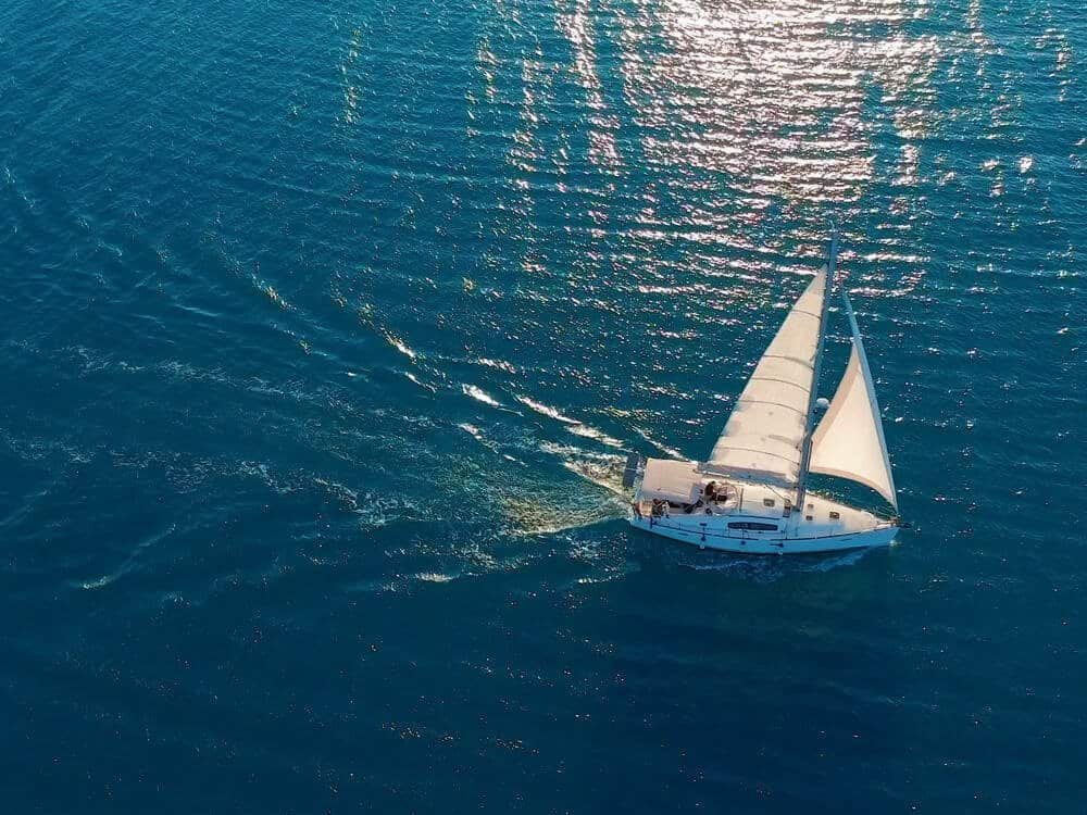 Primis vivamus urna cursus neque mauris