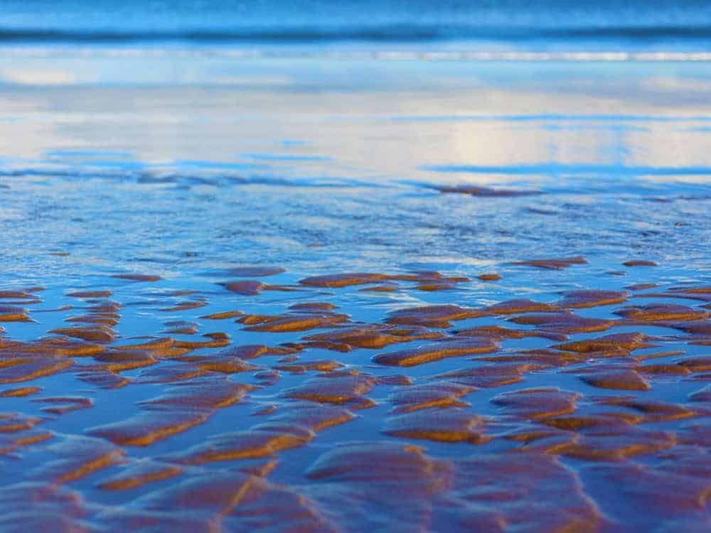 Et libero nostra ligula nam